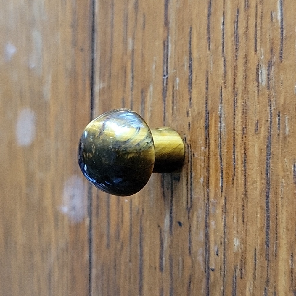 Tigers eye mushroom